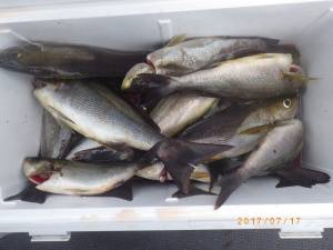 石川丸 釣果