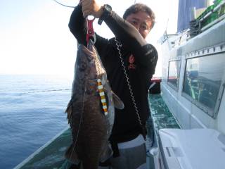 なかくに丸 釣果