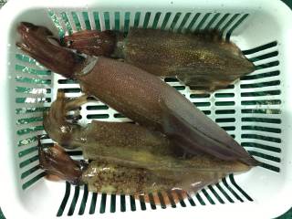 なかくに丸 釣果