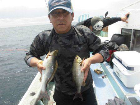 大進丸（愛知） 釣果