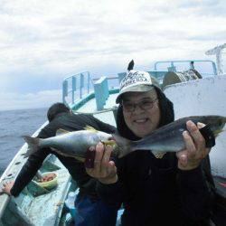 大進丸（愛知） 釣果