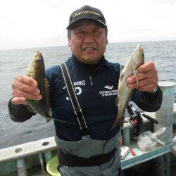 大進丸（愛知） 釣果