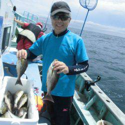 大進丸（愛知） 釣果