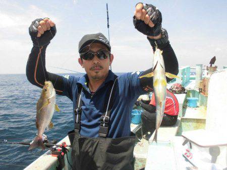 大進丸(愛知) 釣果