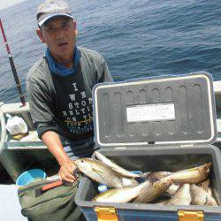 大進丸(愛知) 釣果