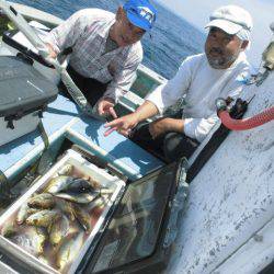 大進丸(愛知) 釣果