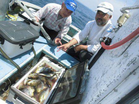 大進丸(愛知) 釣果