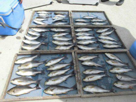 大進丸(愛知) 釣果