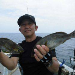 大進丸（愛知） 釣果