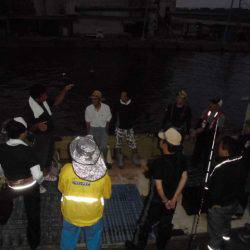 大進丸(愛知) 釣果