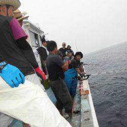 大進丸(愛知) 釣果