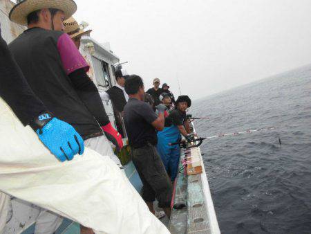 大進丸(愛知) 釣果