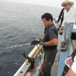 大進丸(愛知) 釣果
