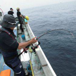 大進丸(愛知) 釣果