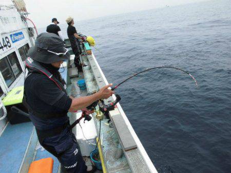 大進丸(愛知) 釣果