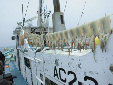 大進丸(愛知) 釣果