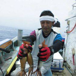 大進丸(愛知) 釣果