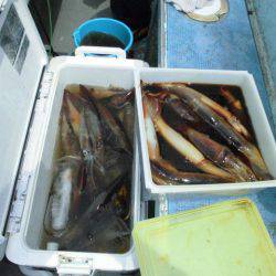 大進丸(愛知) 釣果