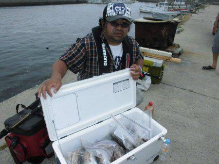 大進丸(愛知) 釣果