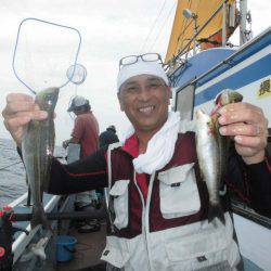 大進丸（愛知） 釣果