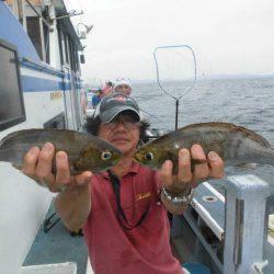 大進丸（愛知） 釣果