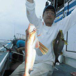 大進丸（愛知） 釣果