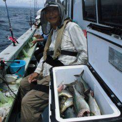 大進丸（愛知） 釣果