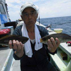 大進丸（愛知） 釣果
