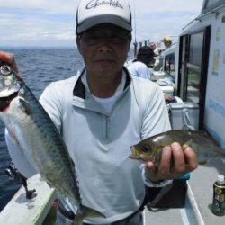 大進丸（愛知） 釣果