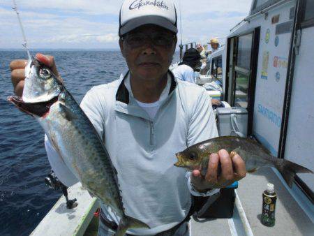 大進丸（愛知） 釣果