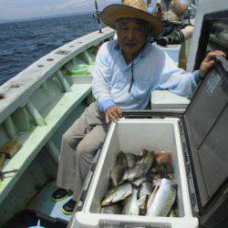 大進丸（愛知） 釣果