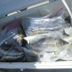 大進丸（愛知） 釣果