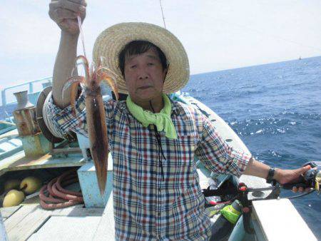 大進丸(愛知) 釣果