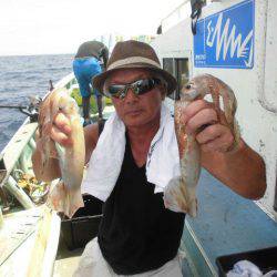 大進丸(愛知) 釣果