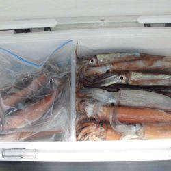 大進丸(愛知) 釣果