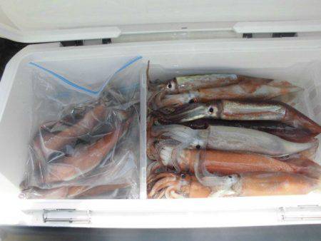 大進丸(愛知) 釣果