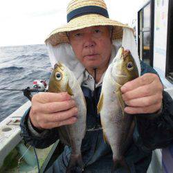 大進丸（愛知） 釣果