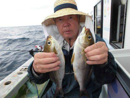 大進丸（愛知） 釣果