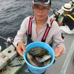 大進丸（愛知） 釣果