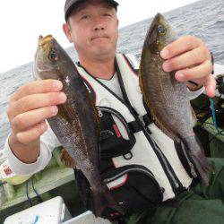 大進丸（愛知） 釣果