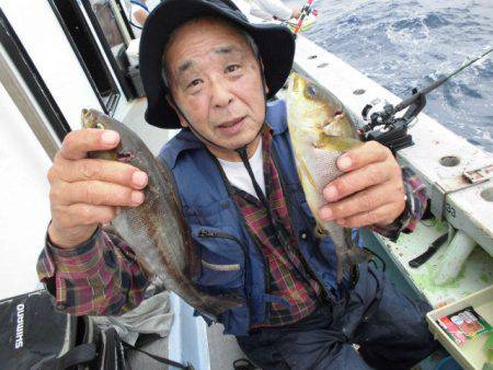 大進丸（愛知） 釣果