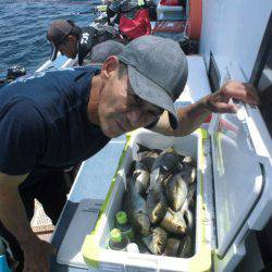 大進丸（愛知） 釣果