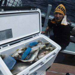 大進丸（愛知） 釣果