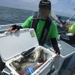 大進丸（愛知） 釣果