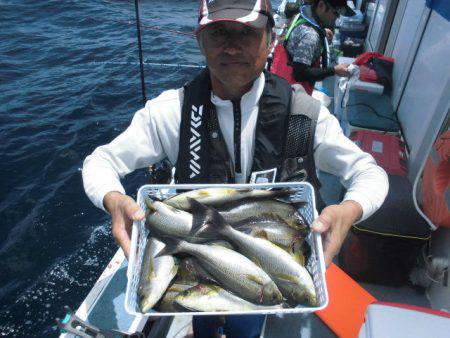 大進丸（愛知） 釣果