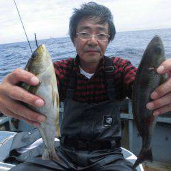 大進丸（愛知） 釣果