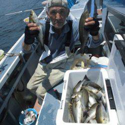 大進丸(愛知) 釣果
