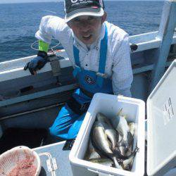 大進丸(愛知) 釣果