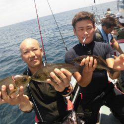 大進丸(愛知) 釣果