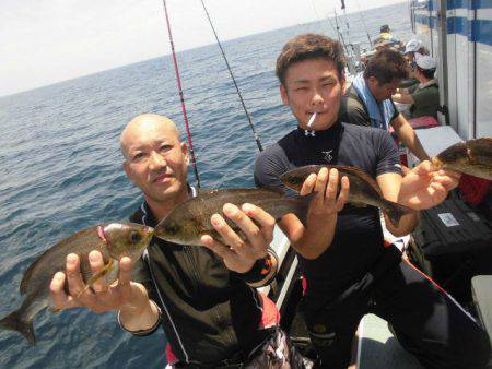 大進丸(愛知) 釣果